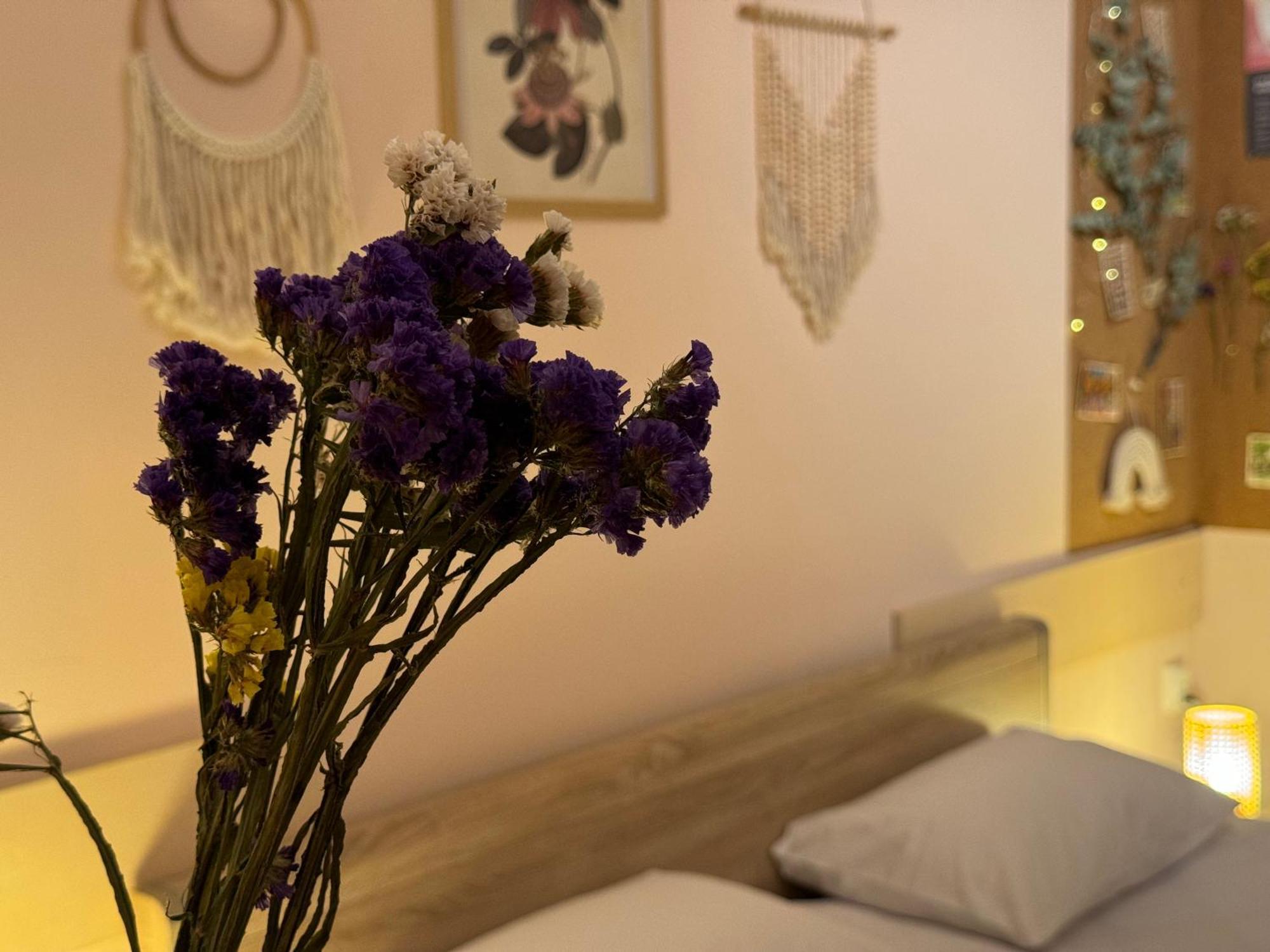 Cozy And Quiet *